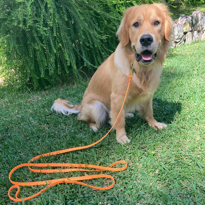 Laisse pour chien - Étanche