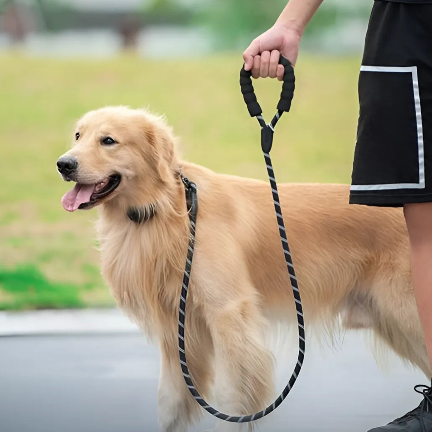 Laisse pour chien - Renforcée™
