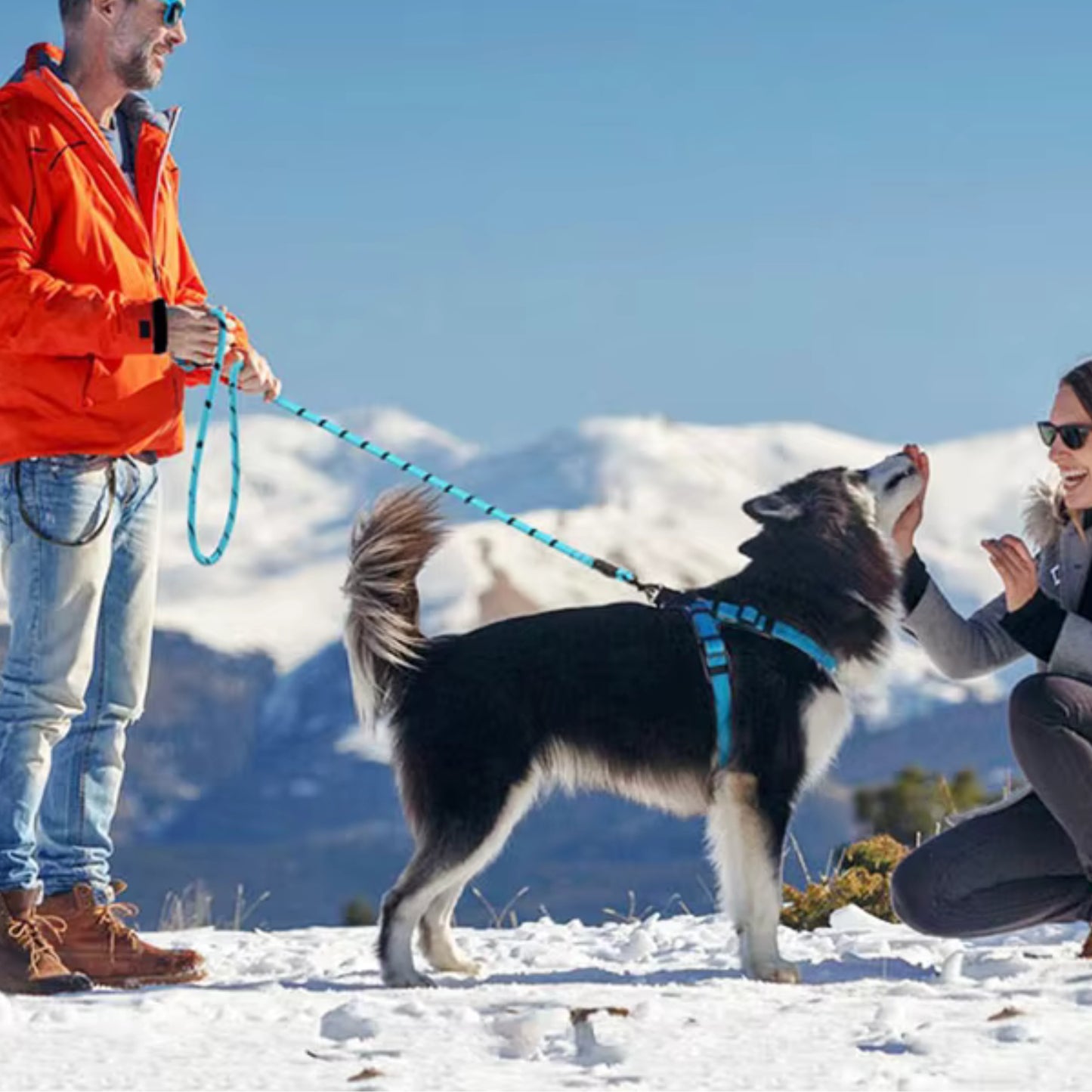 Laisse pour chien - Renforcée™