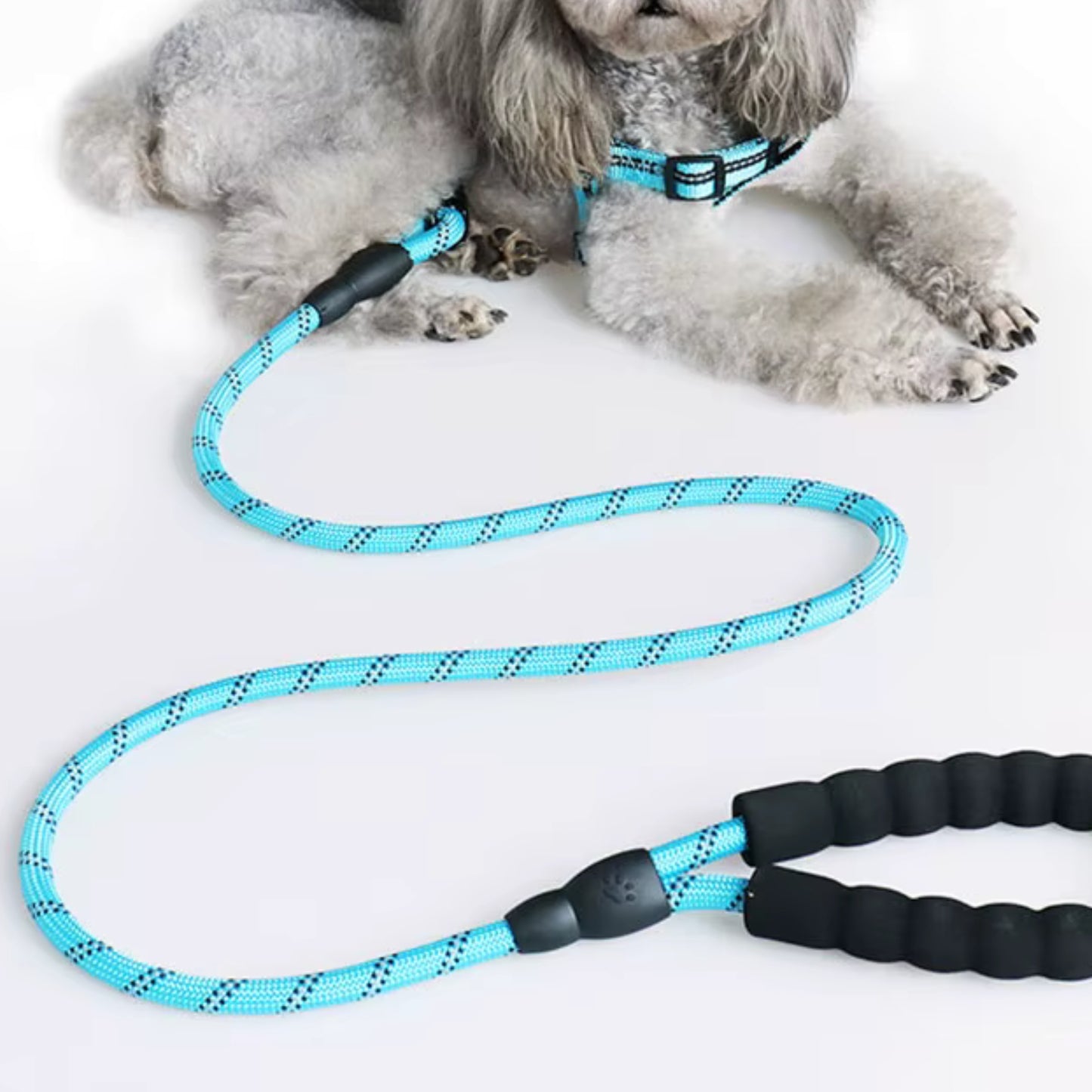 Laisse pour chien - Renforcée™