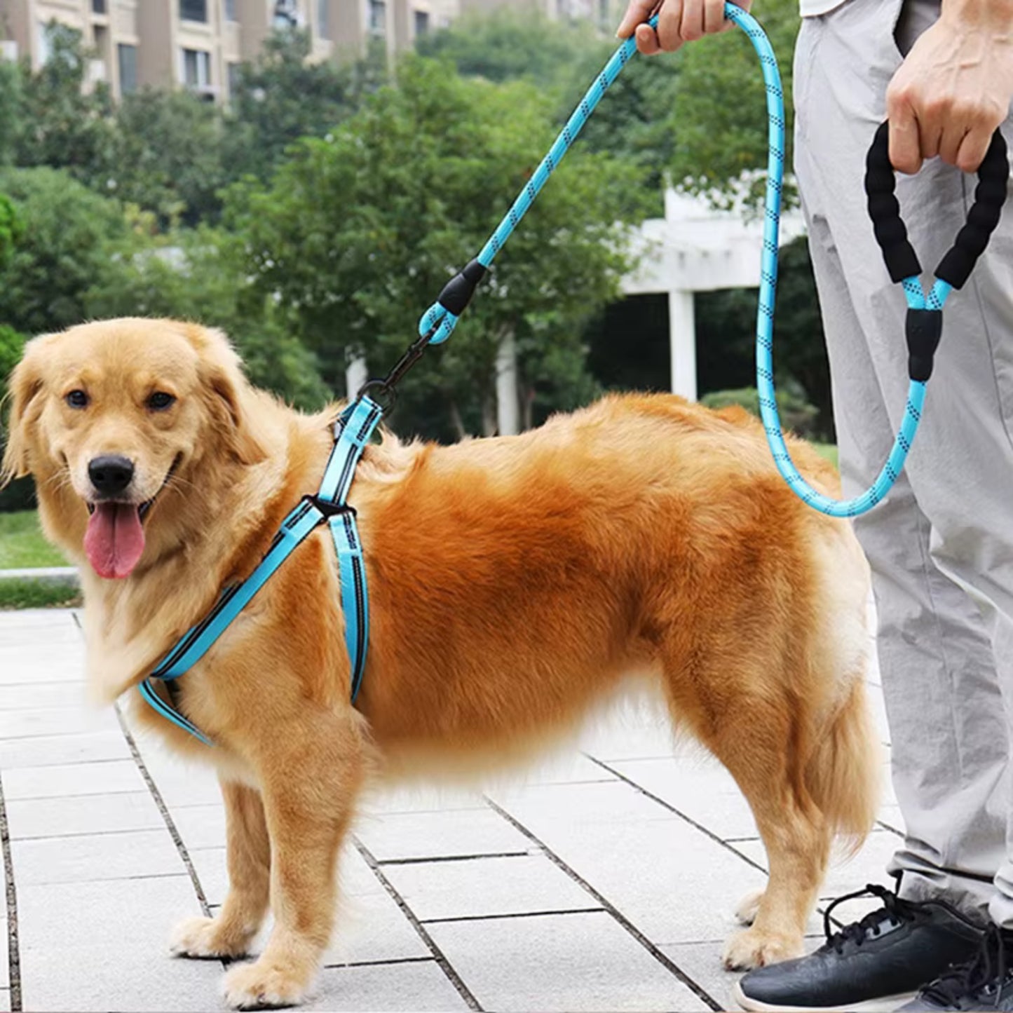 Laisse pour chien - Renforcée™