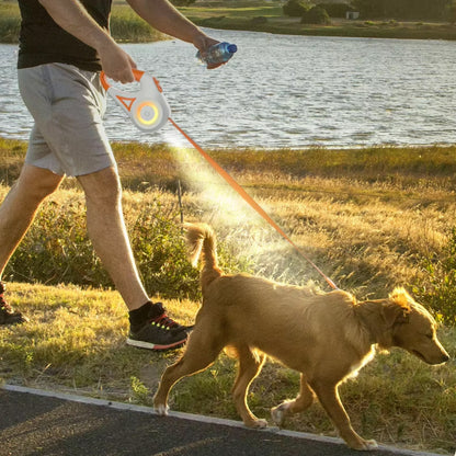 Laisse pour chien - Rétractable LED