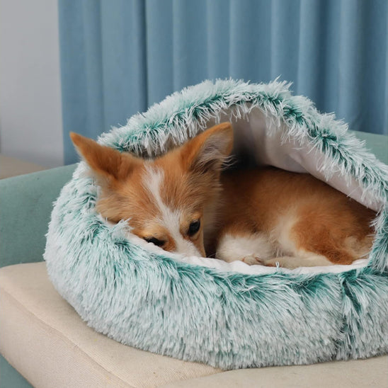 Panier pour chien igloo douillet