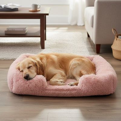 Panier pour chien | Orthopédique Mémoire de Forme