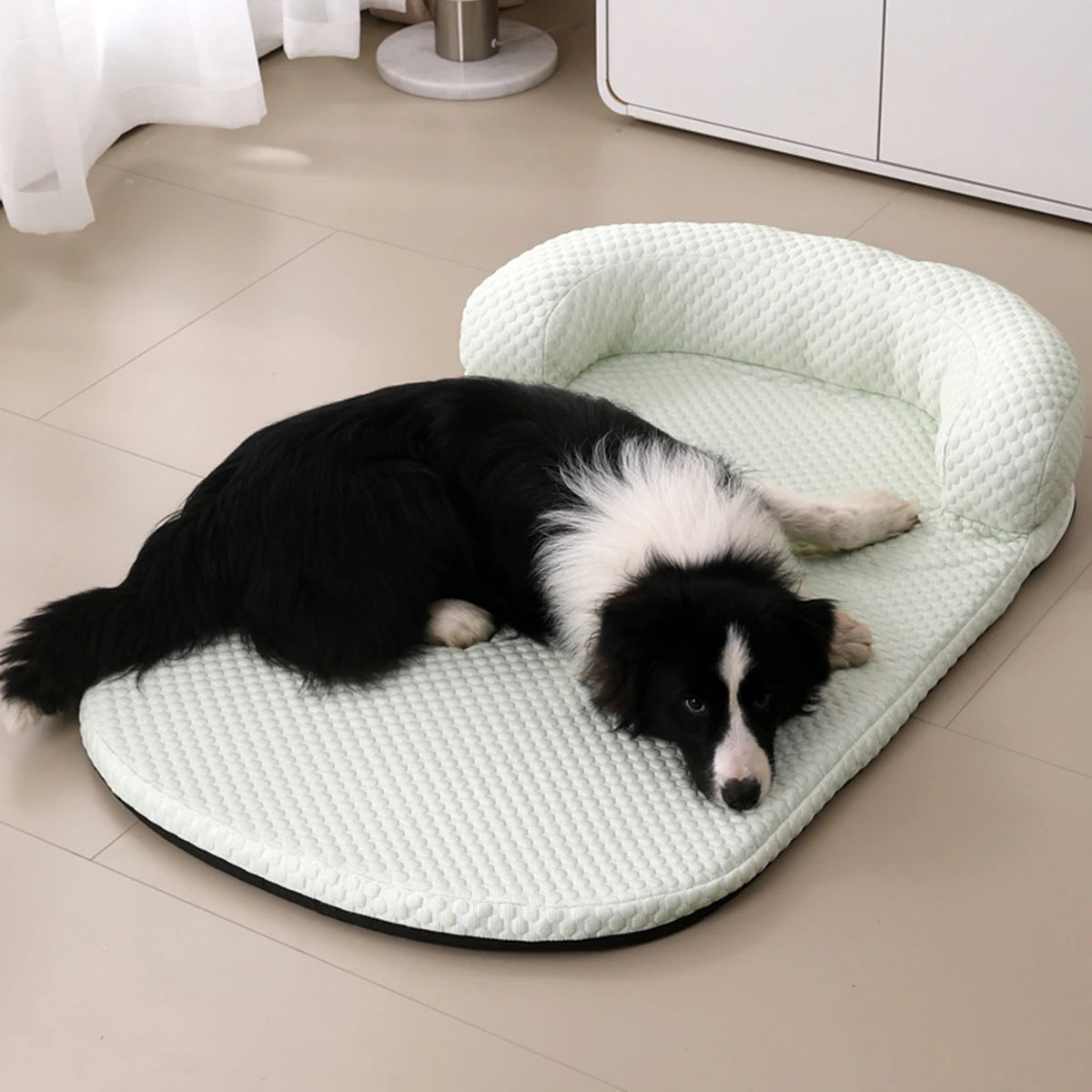 Lit pour chien - appuis tête