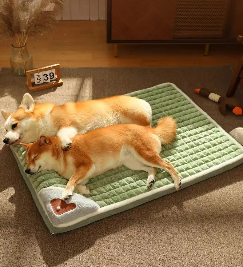 Lit pour chien - mémoire de forme