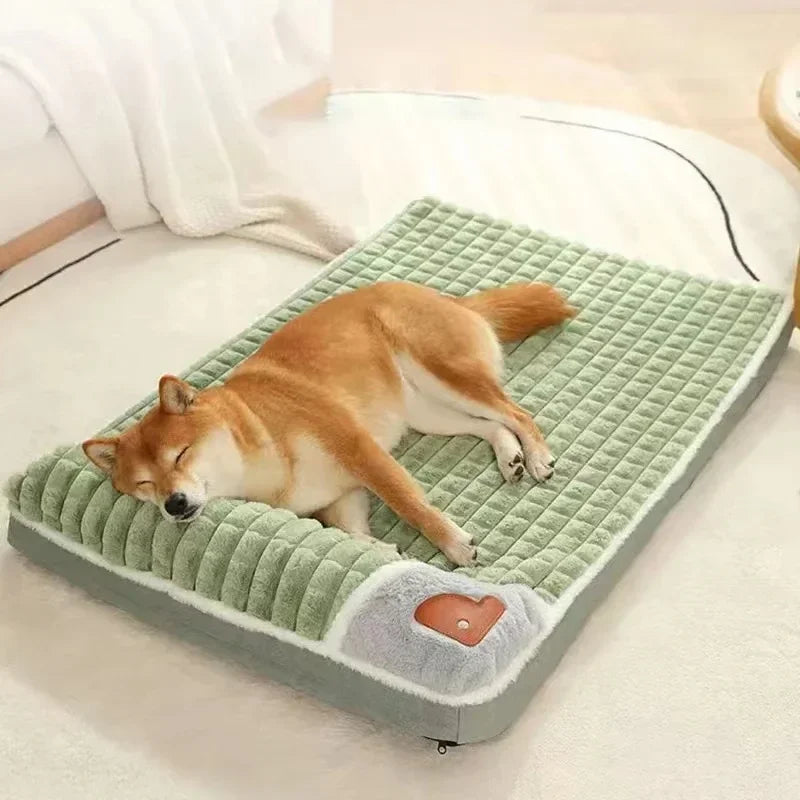 Lit pour chien - mémoire de forme