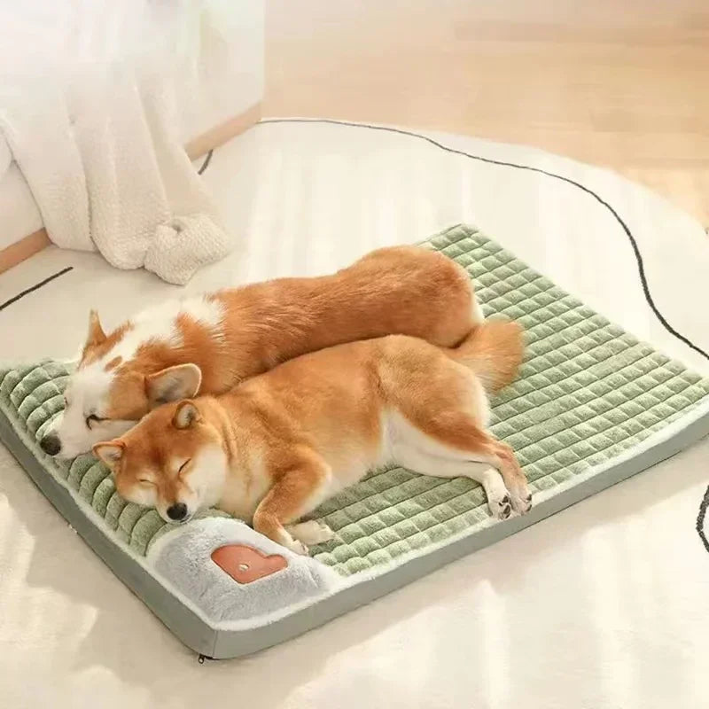 Lit pour chien - mémoire de forme