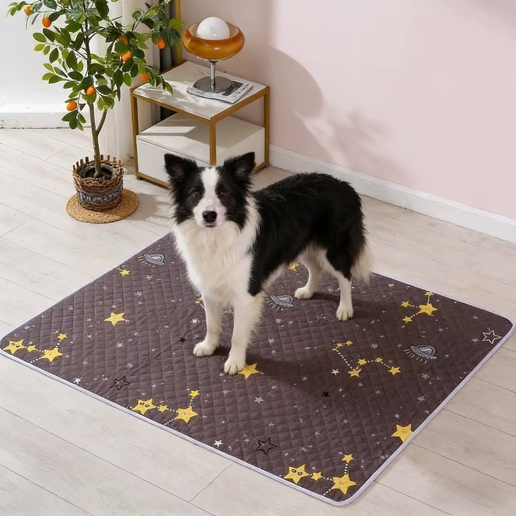 Tapis absorbant chien galaxie lavable gris confortable