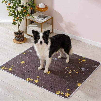 Tapis absorbant chien galaxie lavable gris confortable
