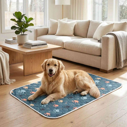 Tapis absorbant chien impérmeable lavable bleu