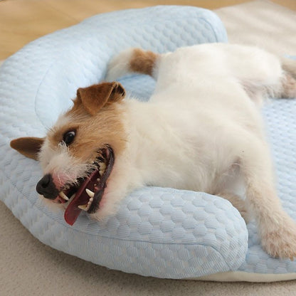 Tapis pour chien rebord rafraichissant bleu