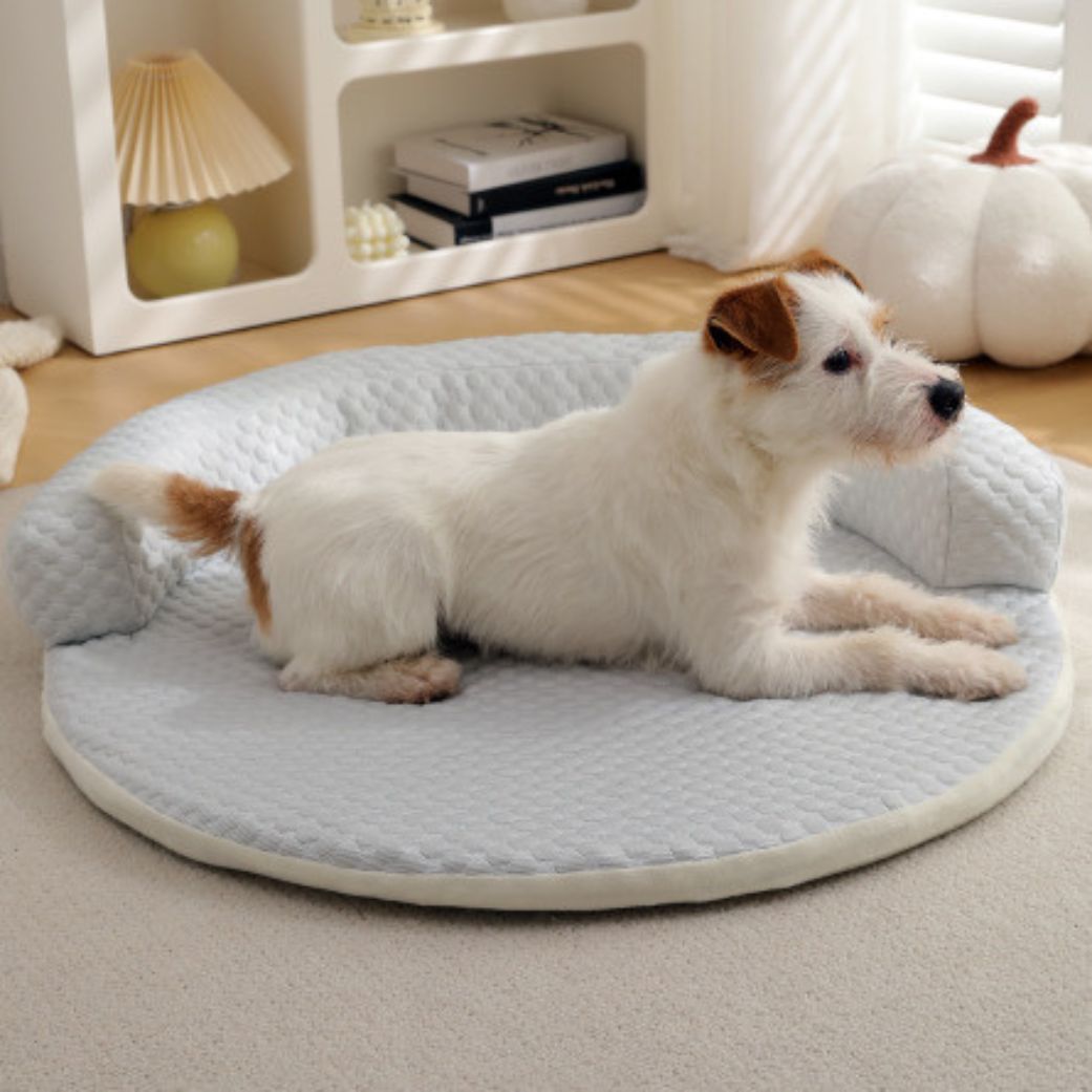 Tapis pour chien rebord rafraichissant gris doux