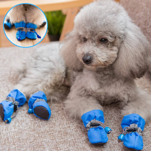 Bottes pour chien - Imperméables™