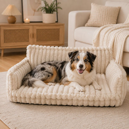 canape pour chien blanc berger australien allonge salon