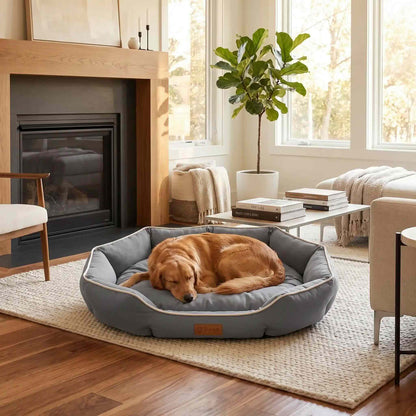 canape pour chien gris chien endormi grand couchage