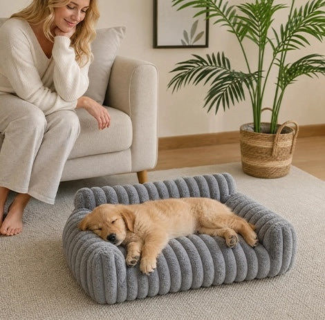canape pour chien gris en velours cotele avec chiot endormi et femme