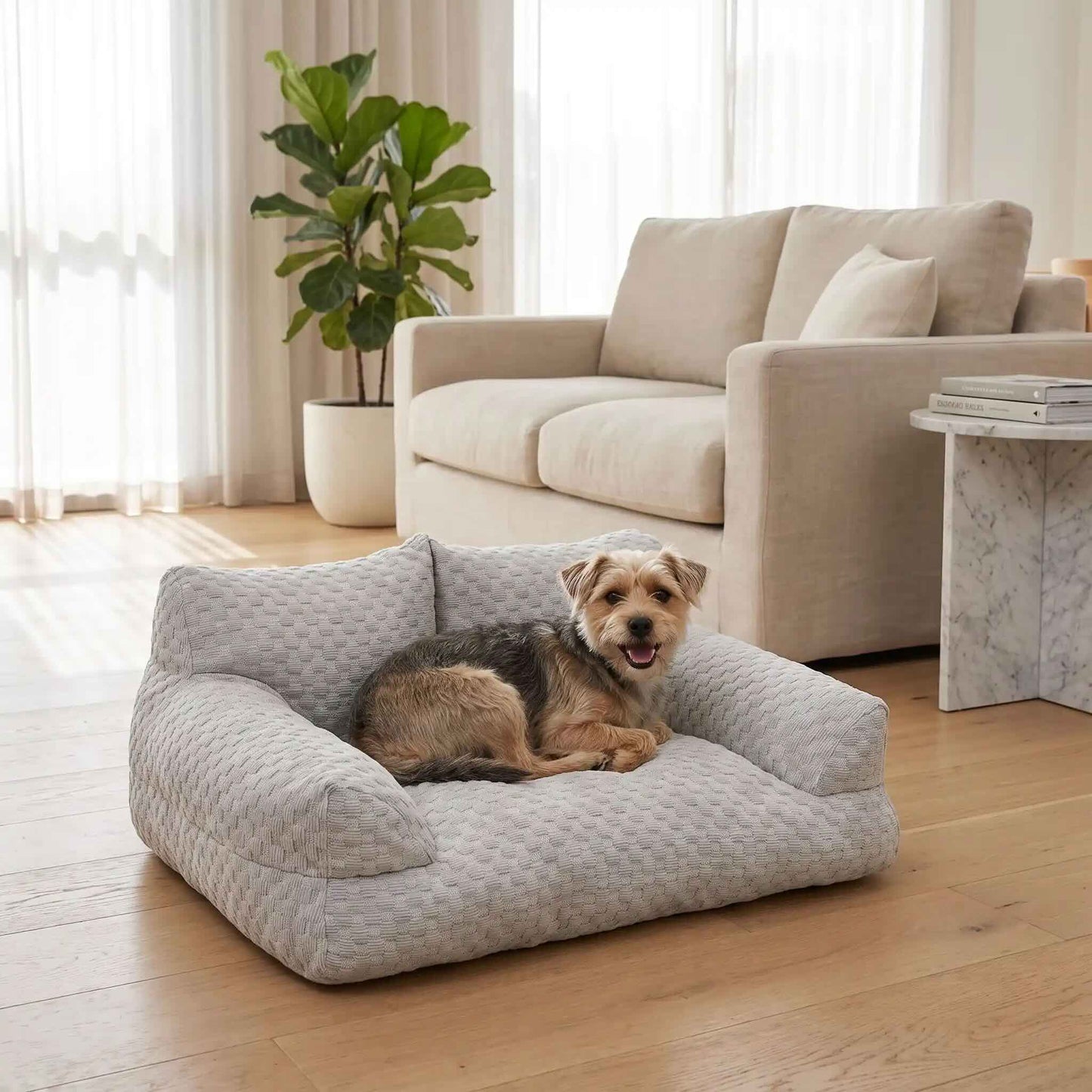 canape pour chien gris respirant petit chien repos