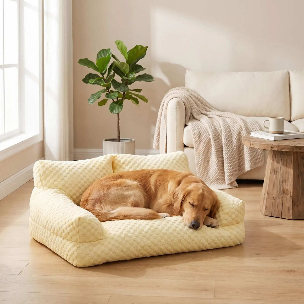 canape pour chien jaune chien endormi salon
