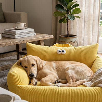 canape pour chien jaune en velours cotele avec grand chien allonge