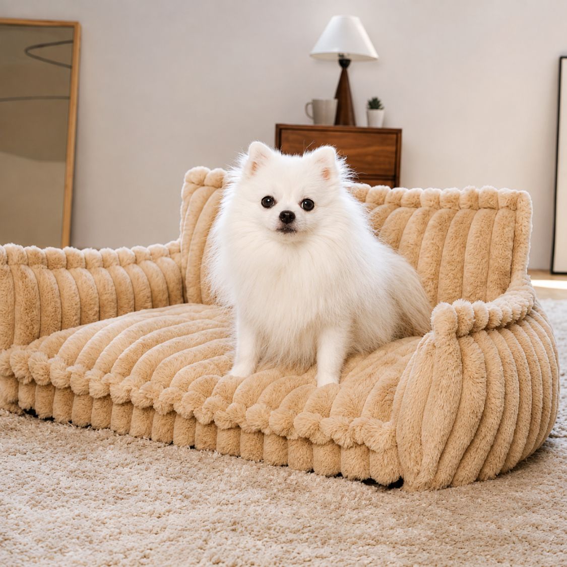canape pour chien marron clair spitz nain assis salon