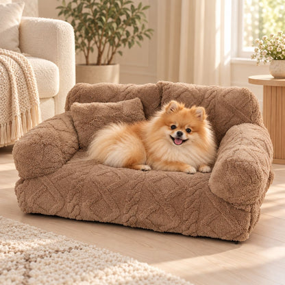 canape pour petit chien marron spitz nain