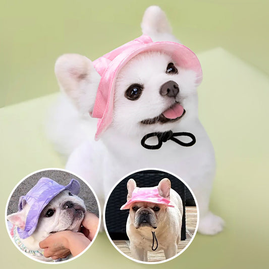 Casquette pour chien - ProtectionSolaires™