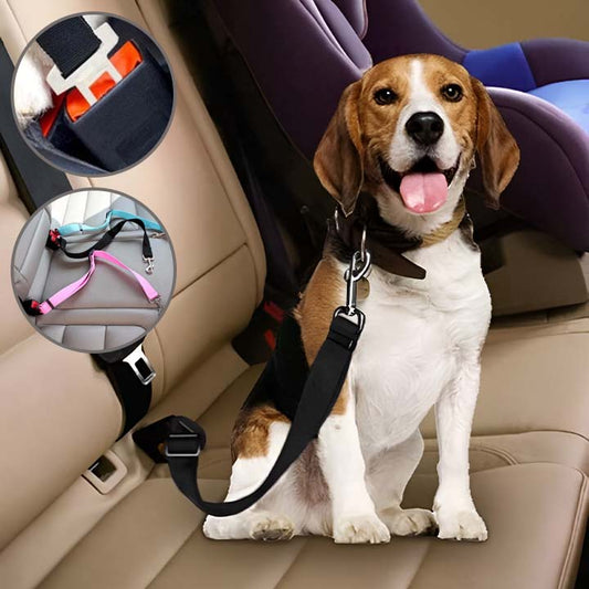 Ceinture pour chien en voiture - CarSecure™