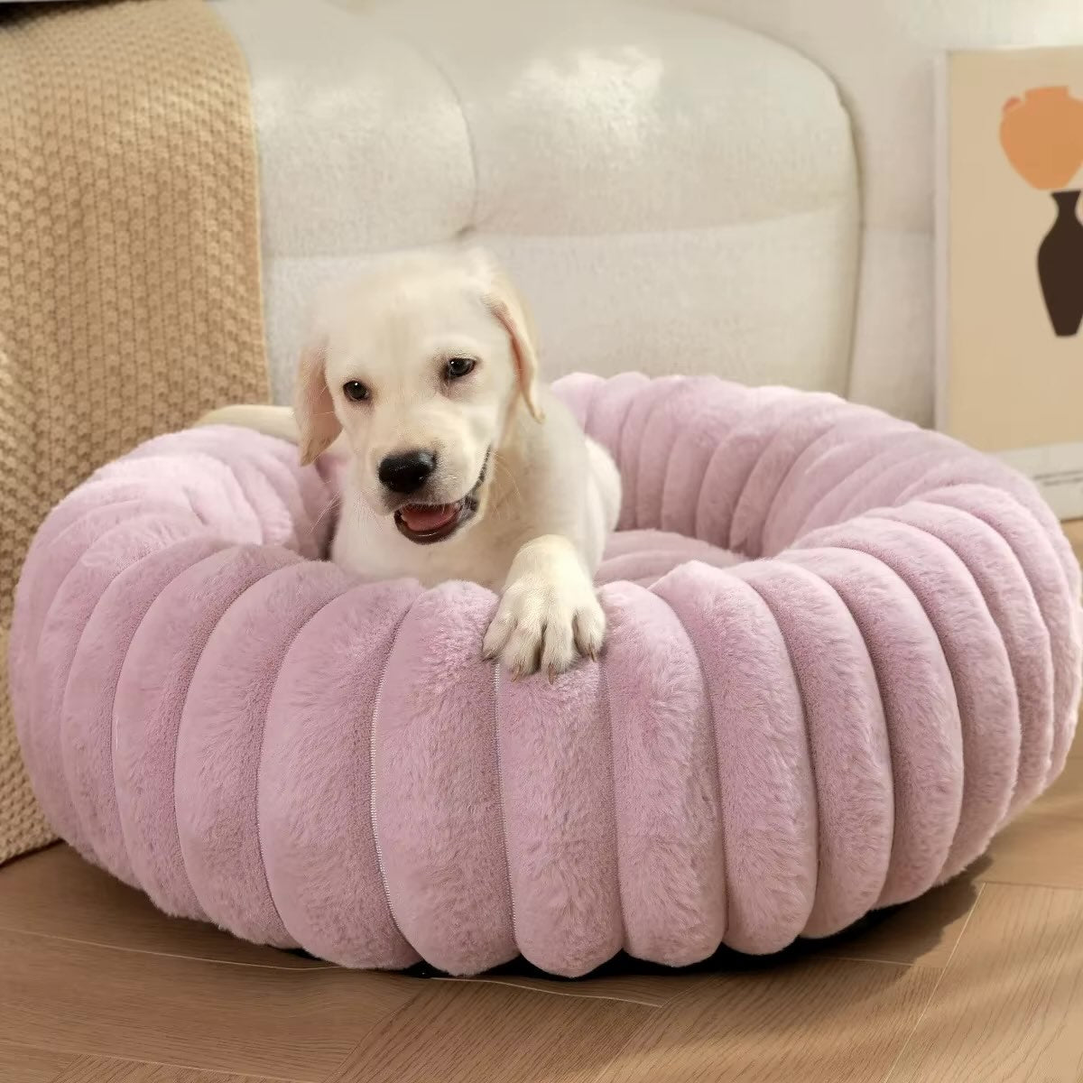 chiot dans panier chien donut moelleux violet