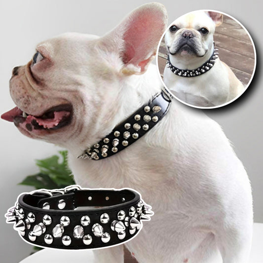 Collier Chien - Anti Morsure