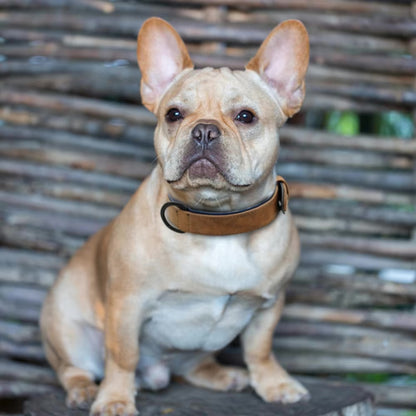 Collier Chien - Cuir Doux