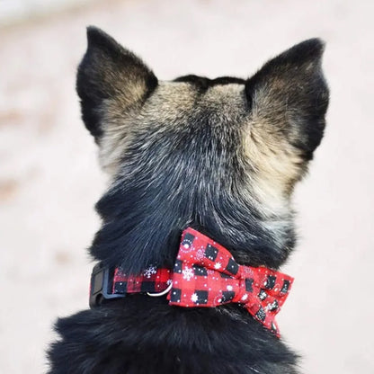Collier Chien - Nœud Papillon
