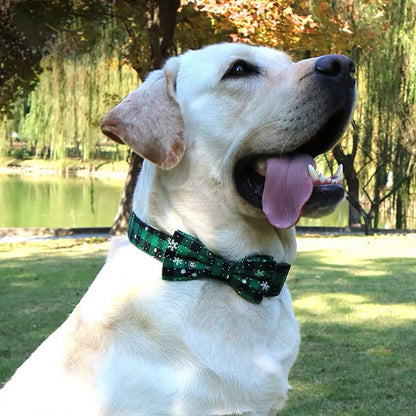 Collier Chien - Nœud Papillon