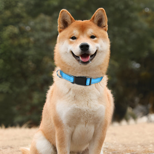 Collier Chien - Réglable