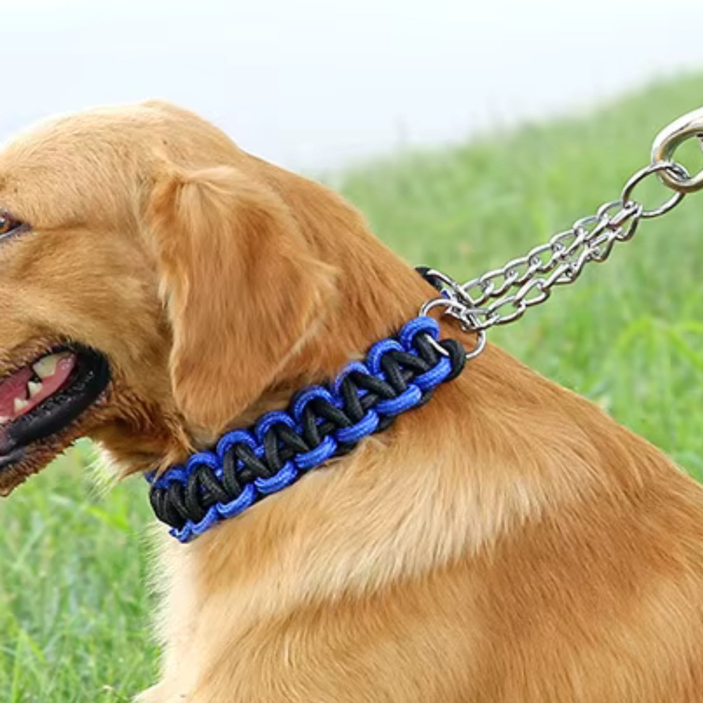 Collier Chien - Tressé