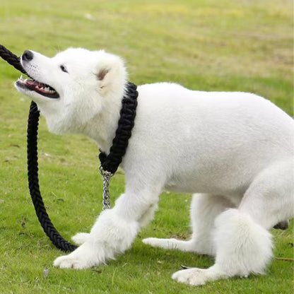 Collier Chien - Tressé