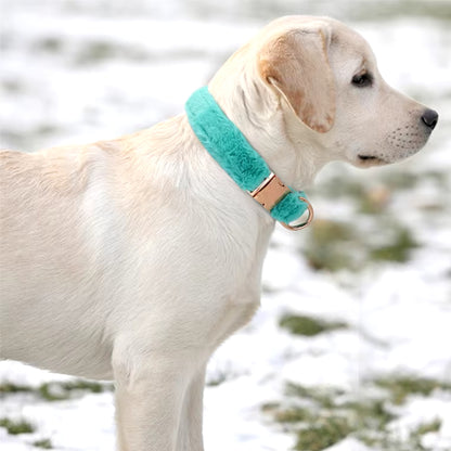 Collier Chien - Velours