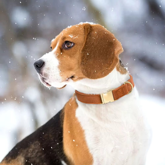Collier Chien - Velours