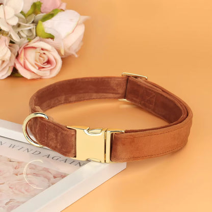 Collier Chien - Velours