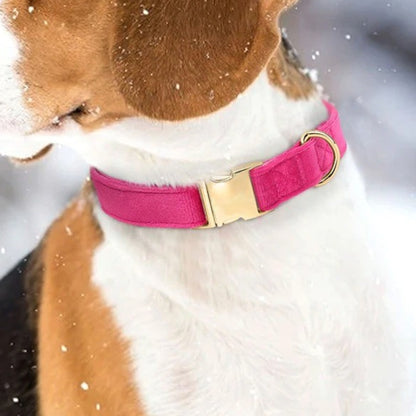 Collier Chien - Velours