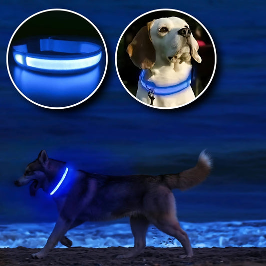 Collier Lumineux Chien - NIGHTBEAM™