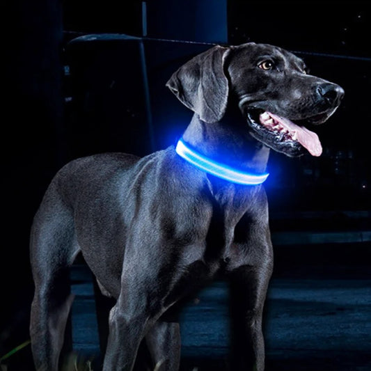 Collier Lumineux Chien - NIGHTBEAM™