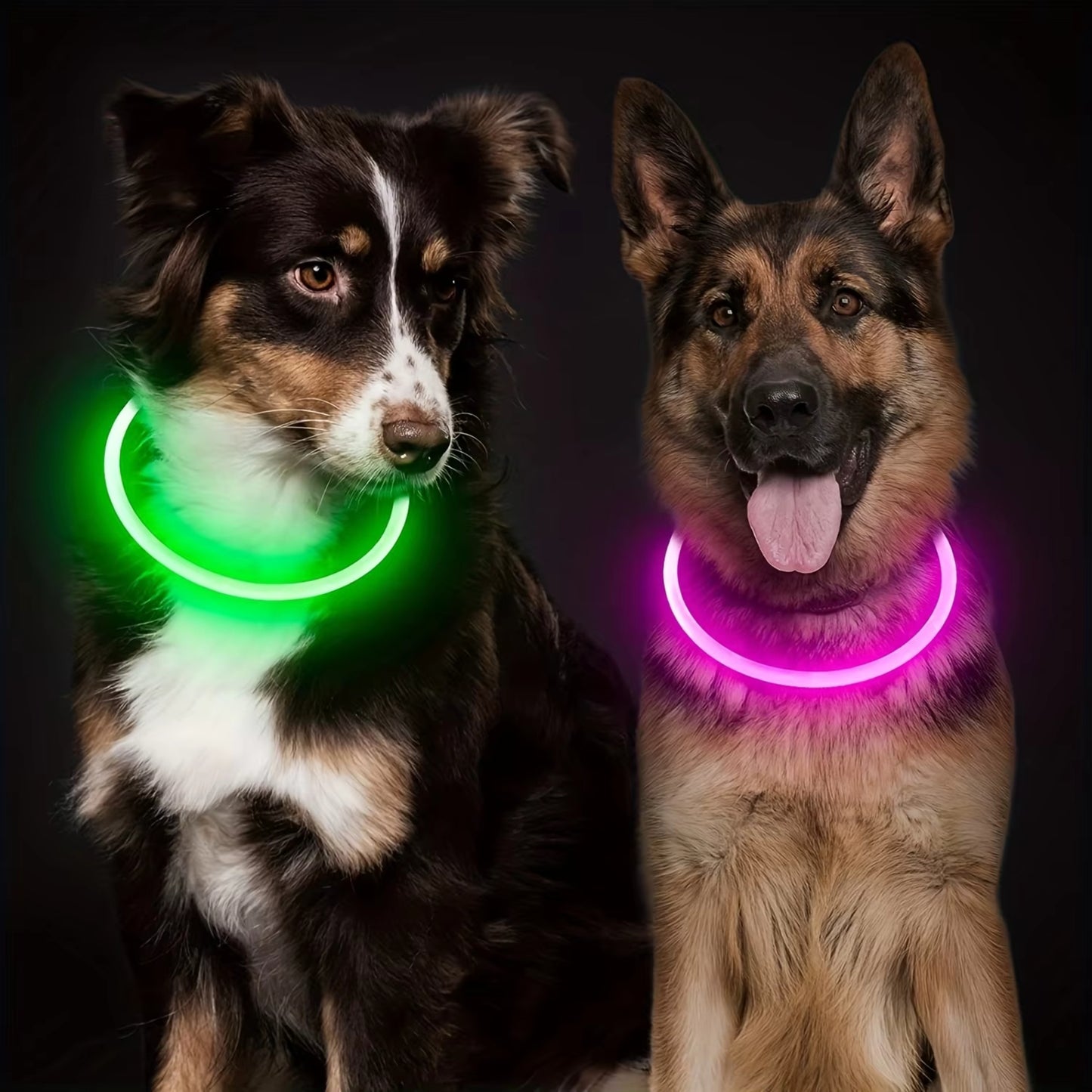 Collier Lumineux Chien - Étanche