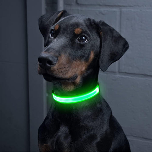 Collier Lumineux Chien - NIGHTBEAM™