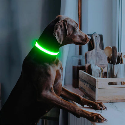 Collier Lumineux Chien - NIGHTBEAM™