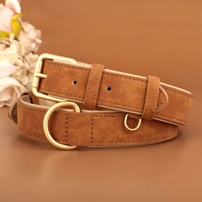 Collier pour Chien - Cuir Rembourré