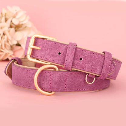 Collier pour Chien - Cuir Rembourré