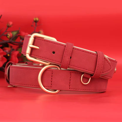 Collier pour Chien - Cuir Rembourré