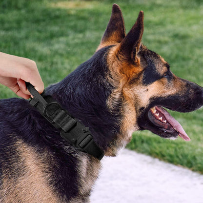 Collier pour chien - Tactique™