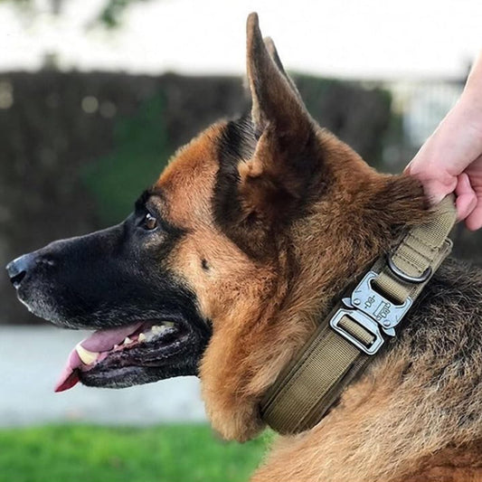 Collier pour chien - Tactique™